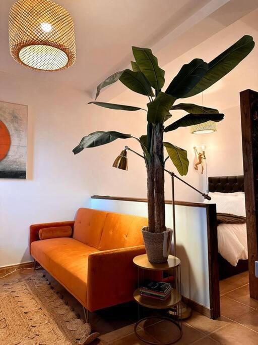 Cerezinoflats-Orange Bay Studio Seixal  Eksteriør bilde
